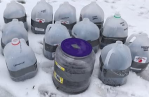 Winter Sowing Workshop