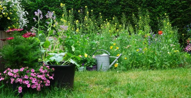 Workshop | From Yard to Table: Edible Landscaping for Any Space
