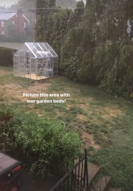  BEFORE: A blank, patchy grass yard (excuse the typo--I was excited!)