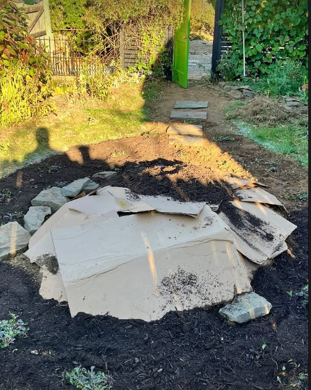 After removing the grass in the center of the space, we used it to make a mound in the middle for a future garden bed, covered by cardboard to kill the grass and feed the soil over winter.