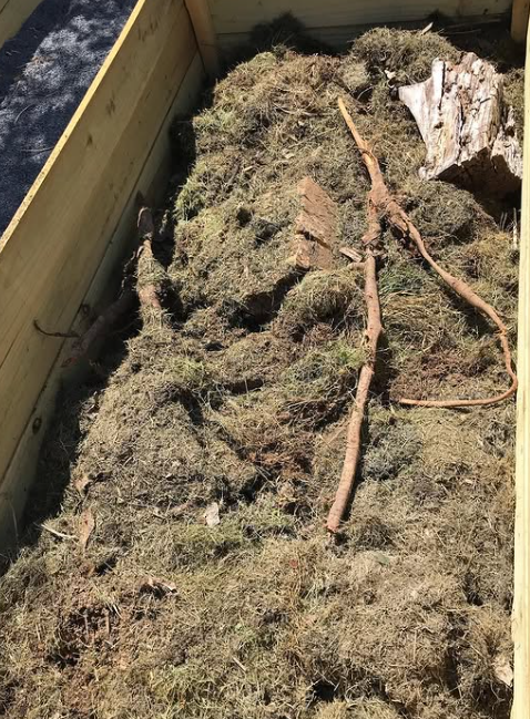 Then I add some grass clippings and straw, and sometimes cardboard and shredded paper.