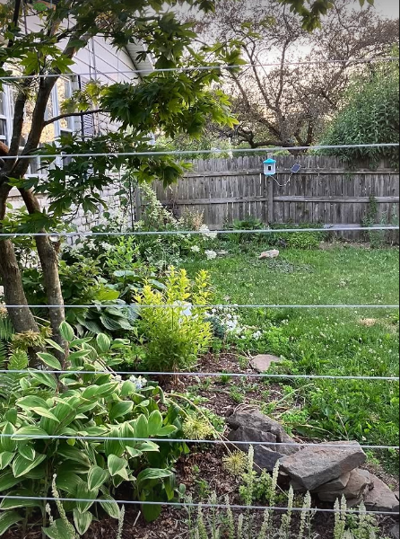 BEFORE: It started with a trip to London and an obsession with locked-door gardens in Notting Hill....