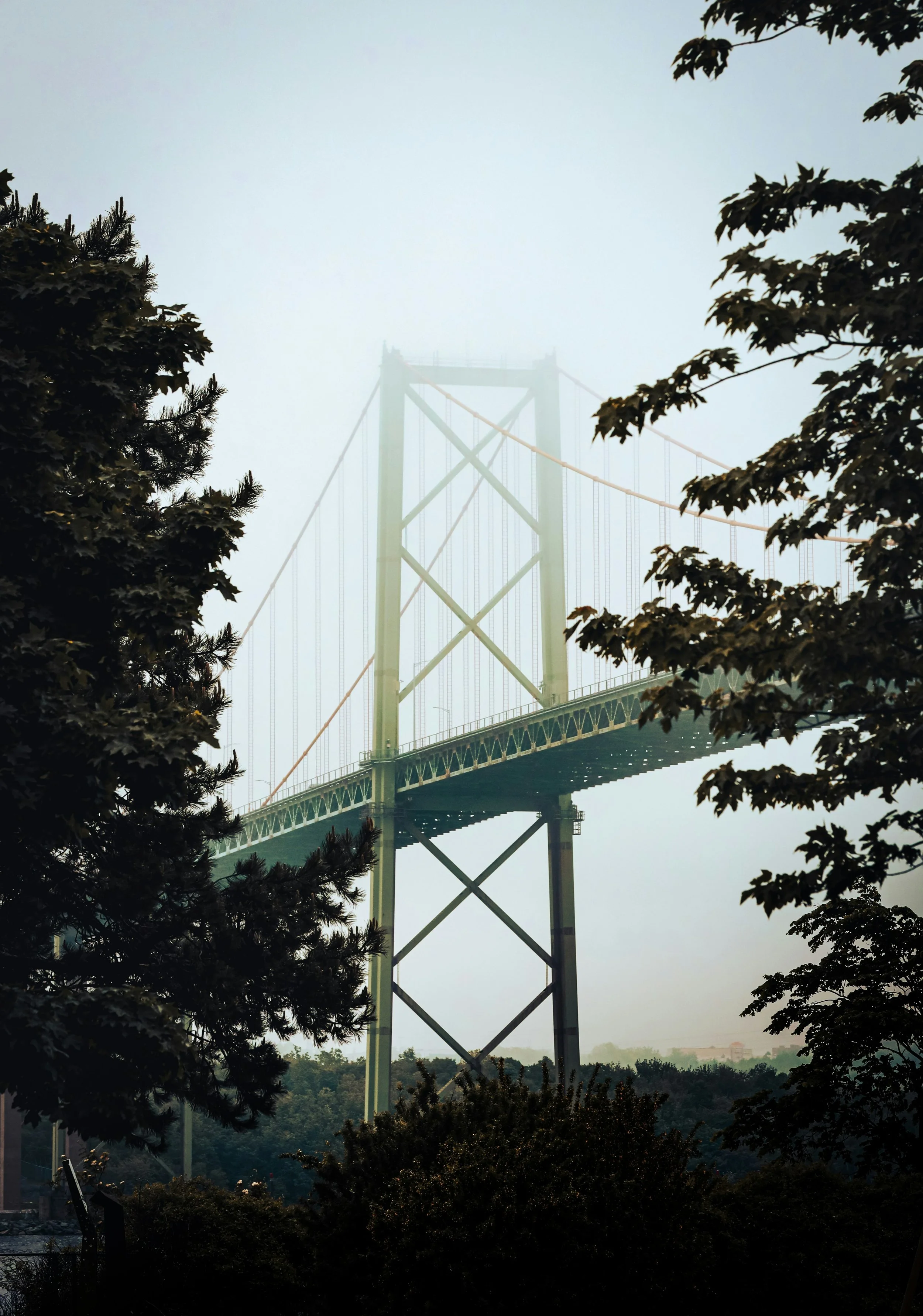 gaurav-kakria-g4lvSuP6Qew-unsplash.jpg