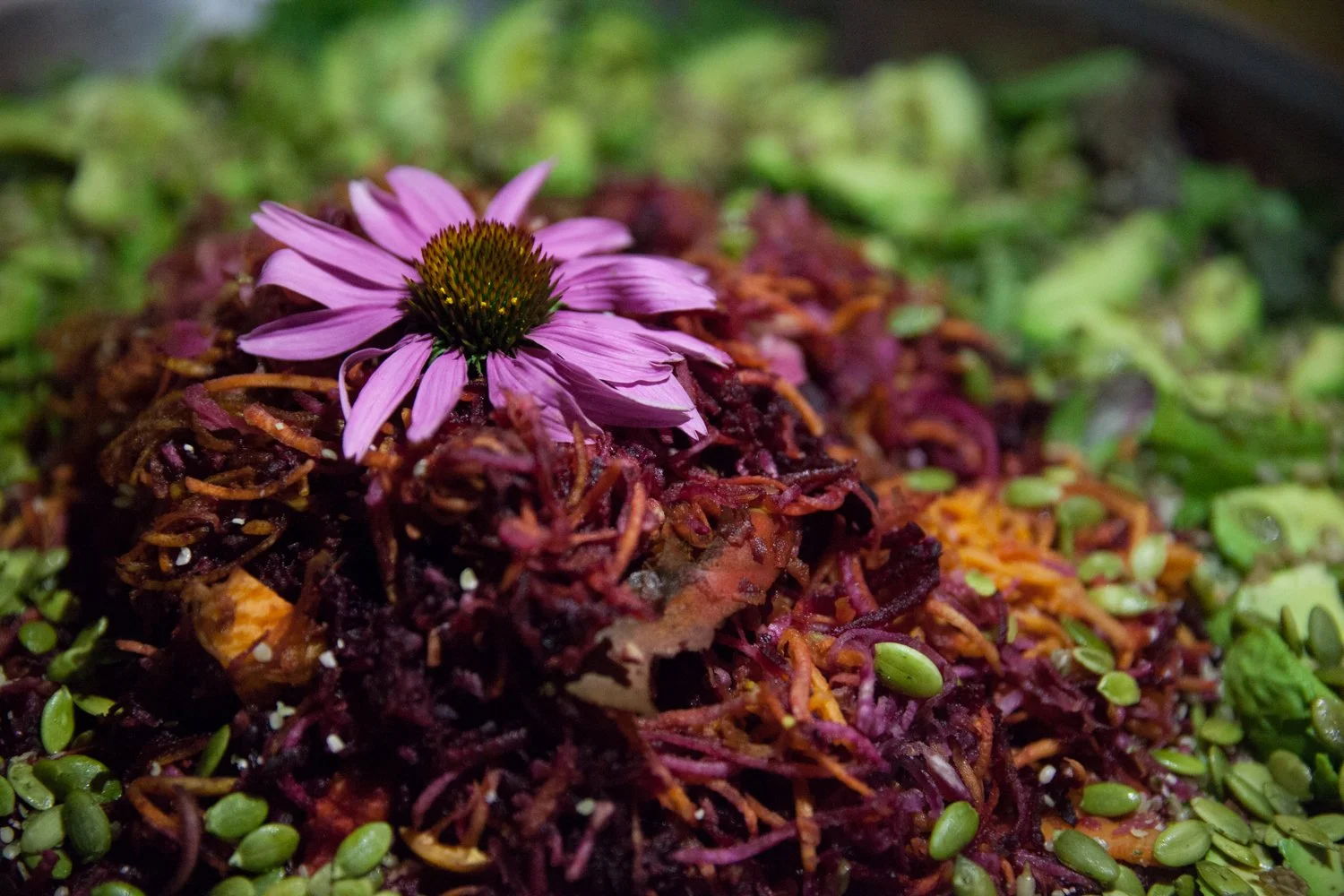 Gabrielle Brick - The Co. Kitch - Wild Garden Salad