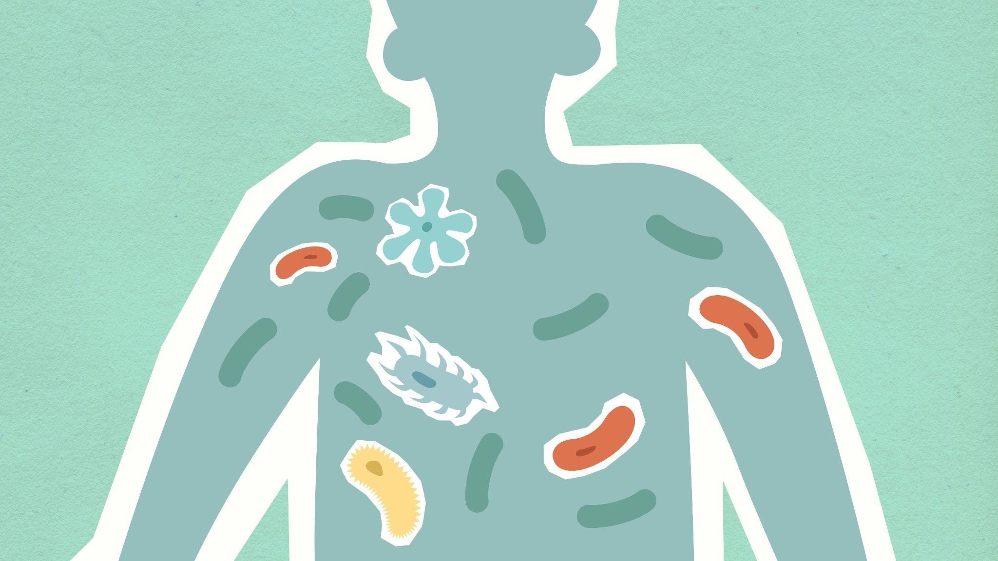 Is Your Immune System Weaker Postpartum? What Science Says