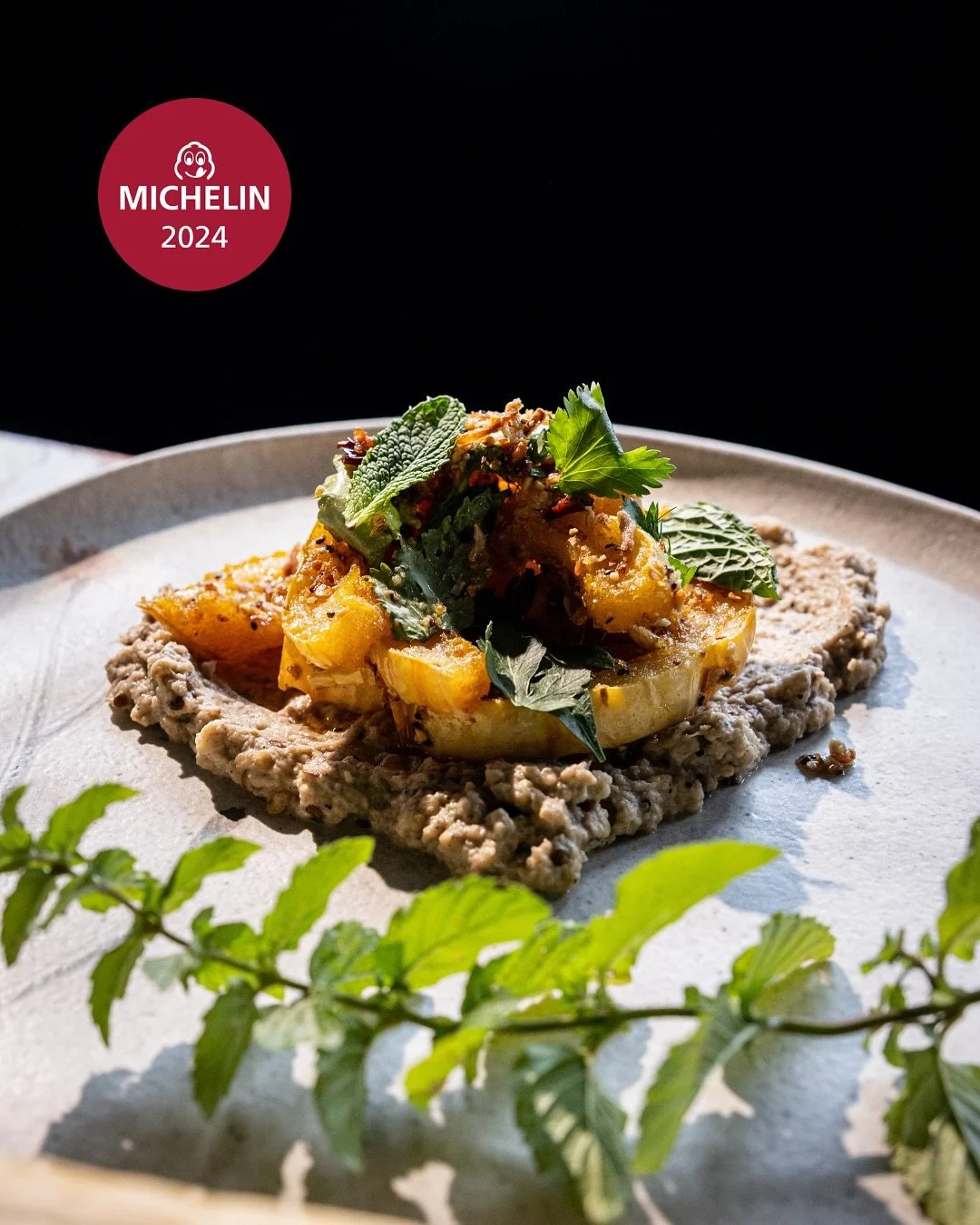 A spotlight on this Autumn&rsquo;s returning guest favorite: Delicata Squash ✨

Lightly fried to a soft crisp, this seasonal squash sits atop a bed of velvety baba ghanoush and is finished with bright herbs, chili crisp, and crunchy seeds. It all com