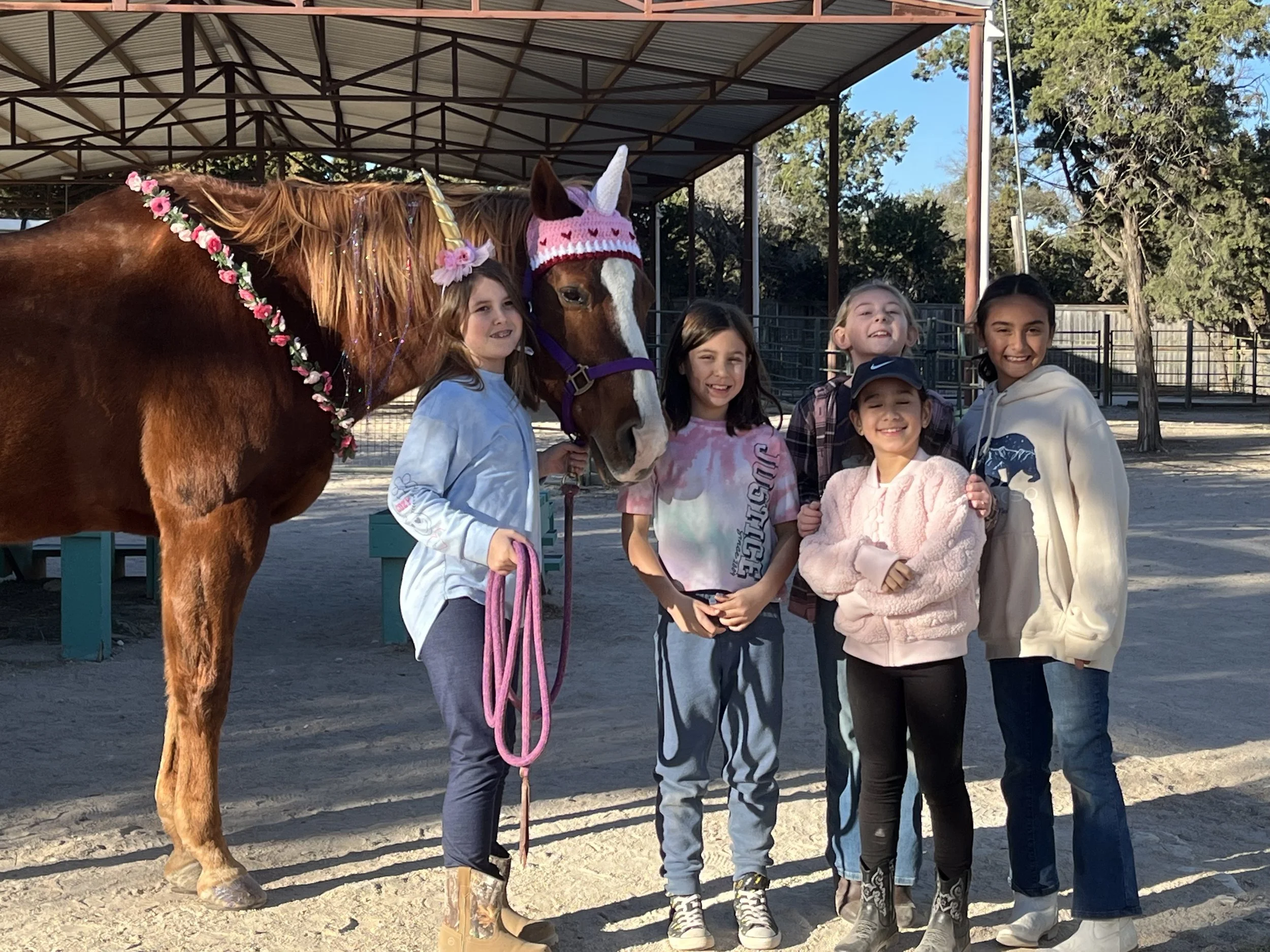 Six children posing with a horse that is decorated with a pink floral Garland and a unicorn hat in an outdoor playground area.