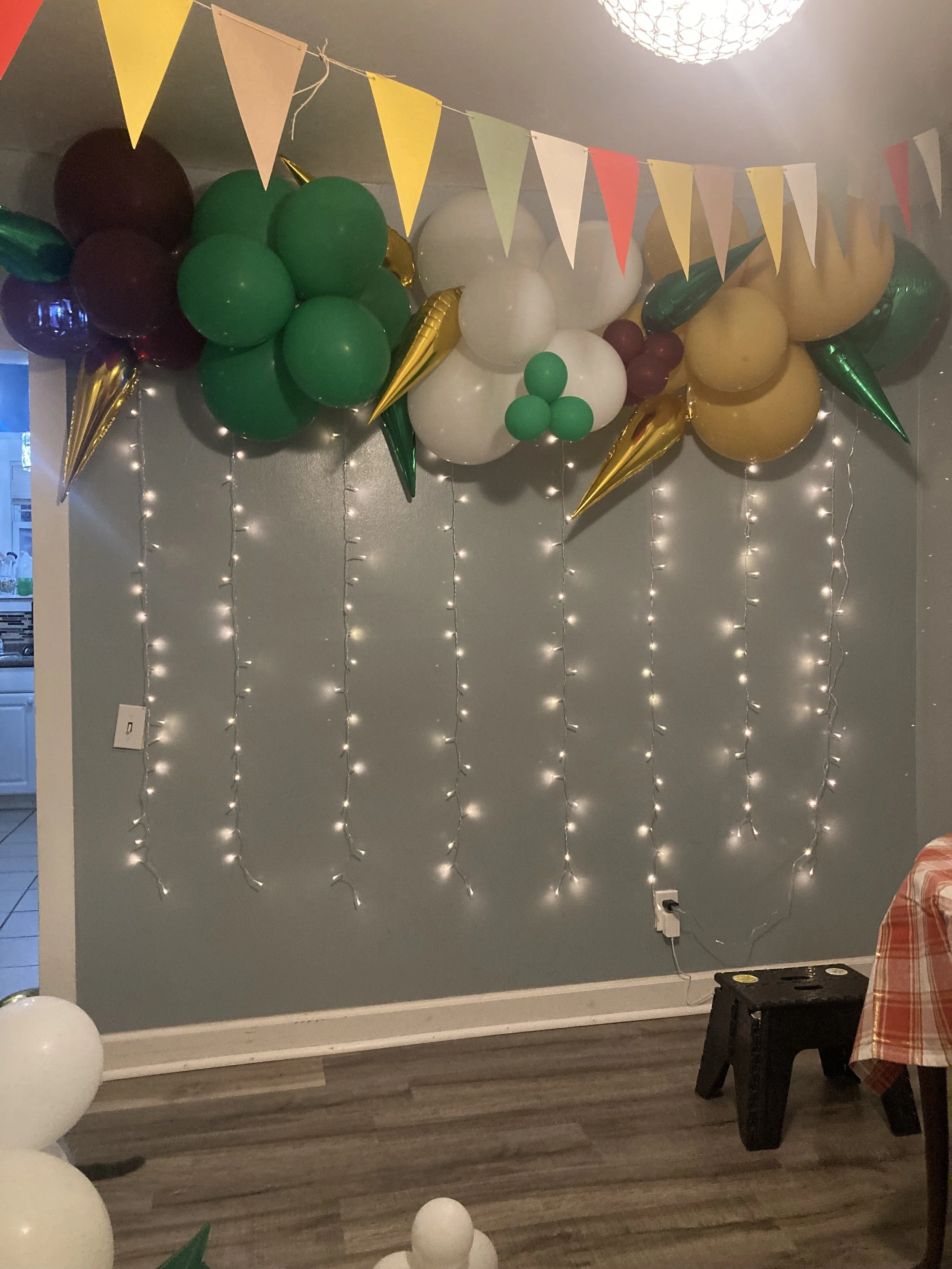 Bilbo Baggins’ Birthday pt. 2