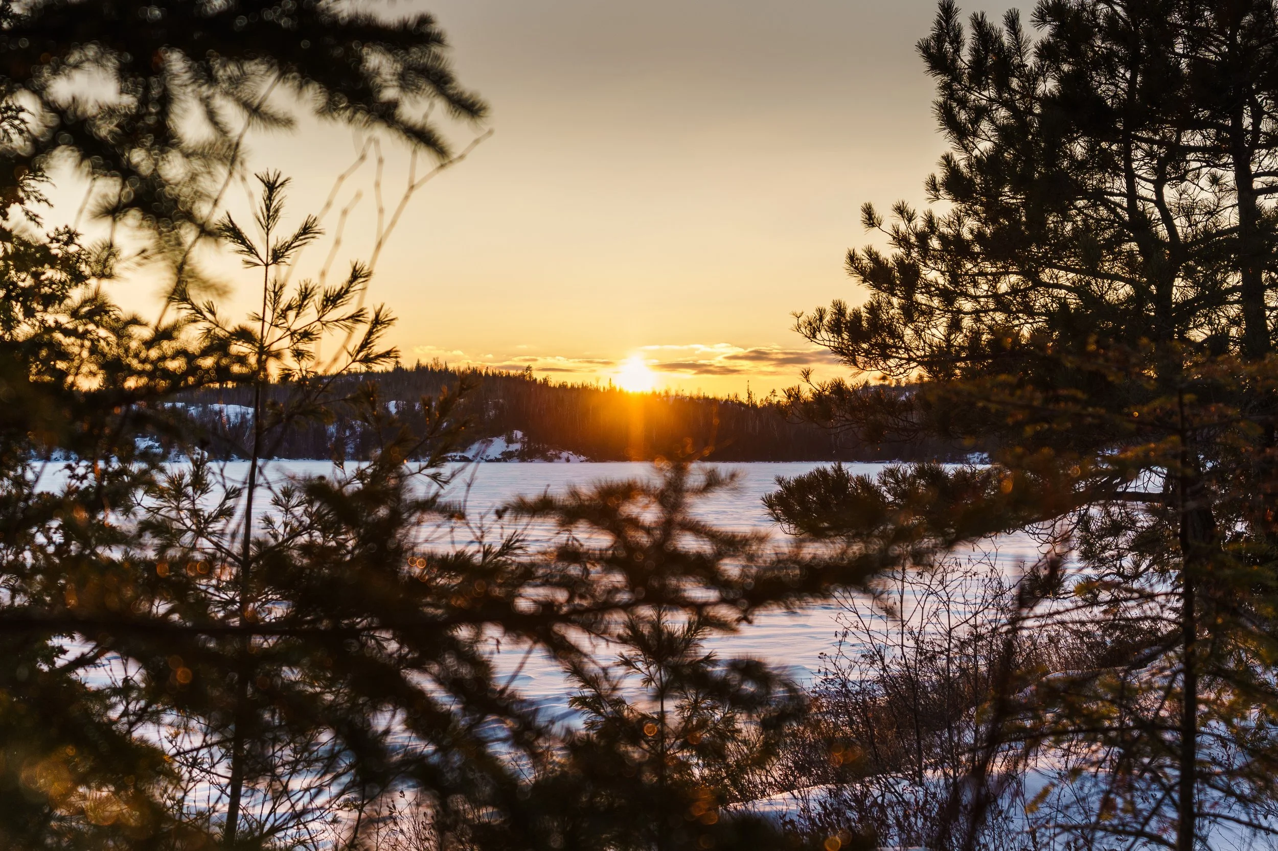 BWCA Winter-2205.jpg