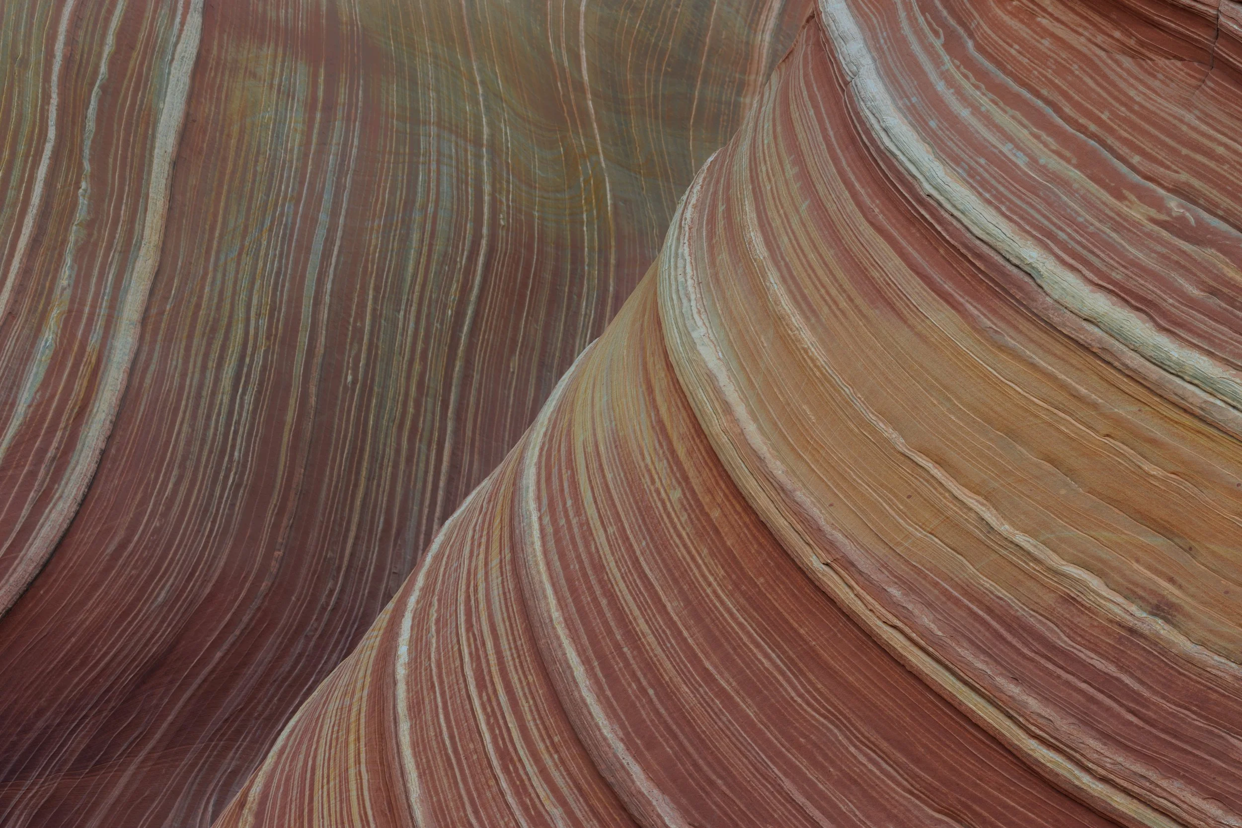 The Wave and Grand Canyon-CA2_0004.jpg