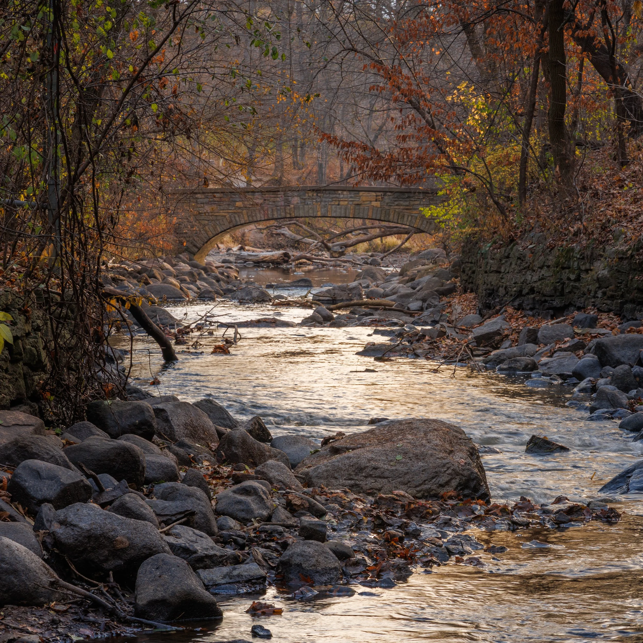 Minnehaha Creek-CA1_1987.jpg