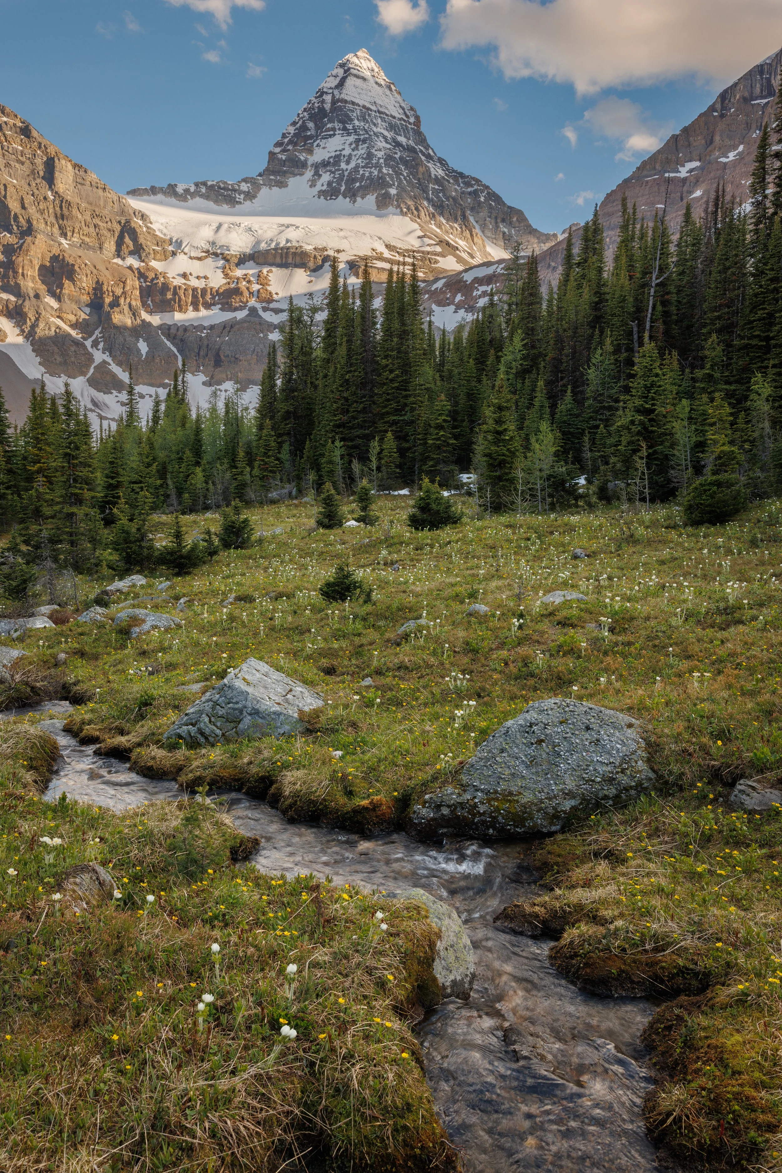 07 Canadian Rockies-CA1_0148-Edit.jpg