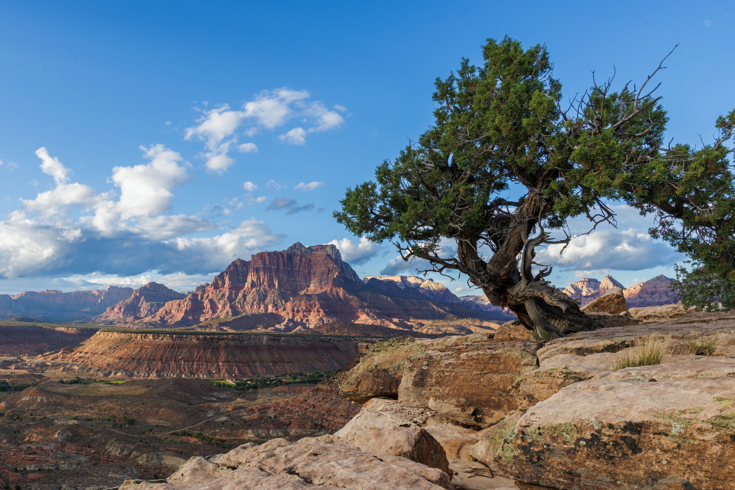 Southwest-7502.jpg