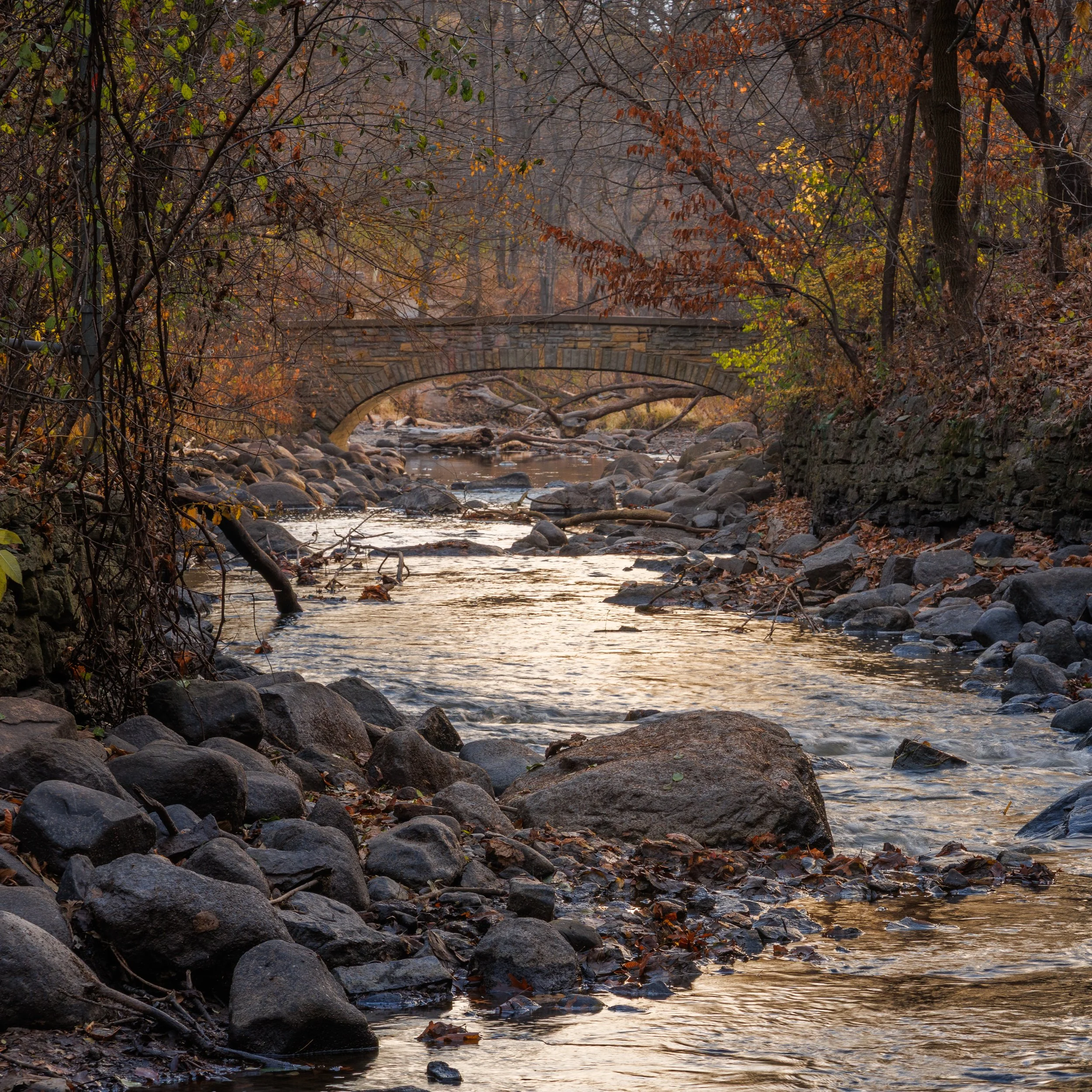 Minnehaha Creek-CA1_1987.jpg