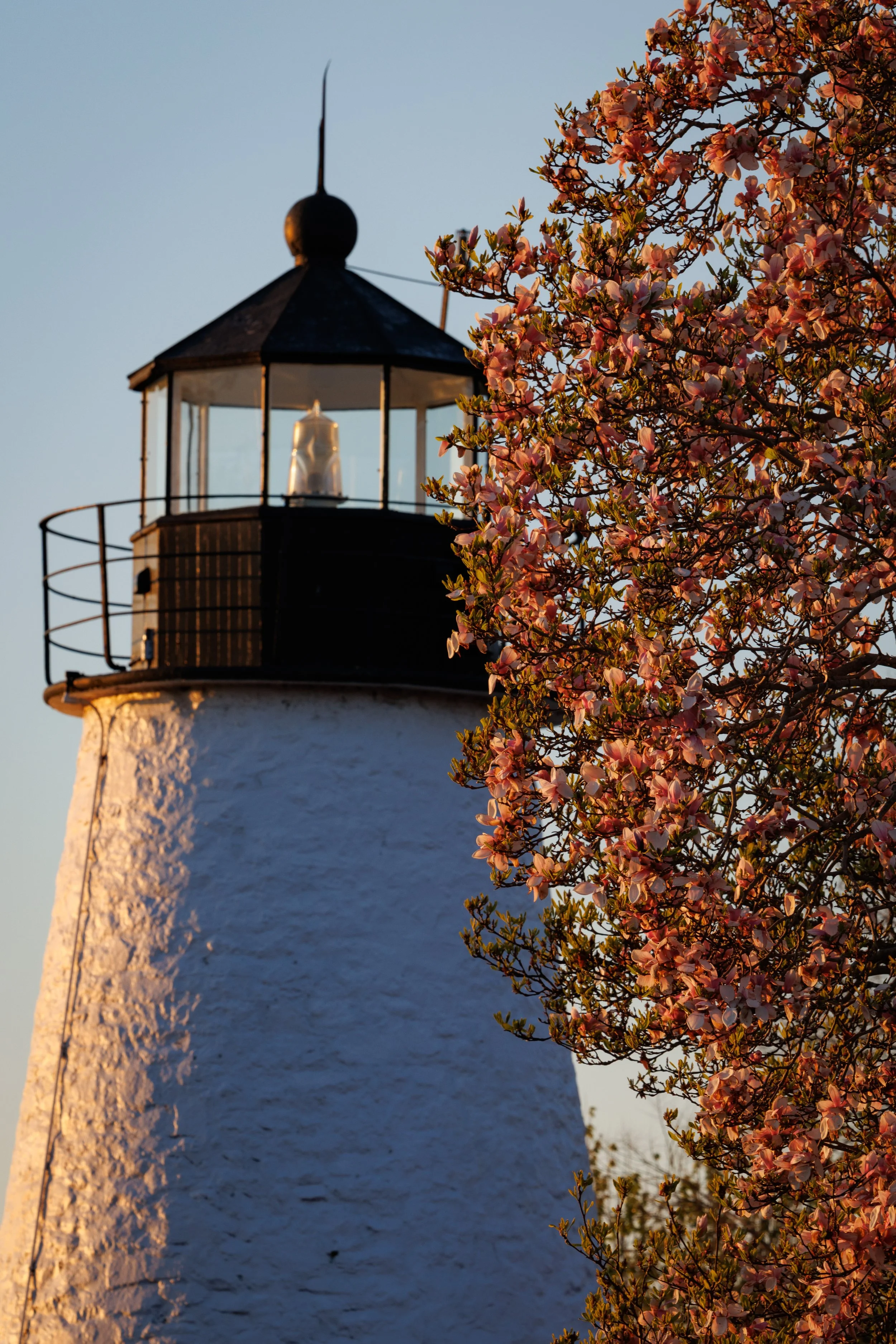 Havre De Grace-CA1_0070.jpg