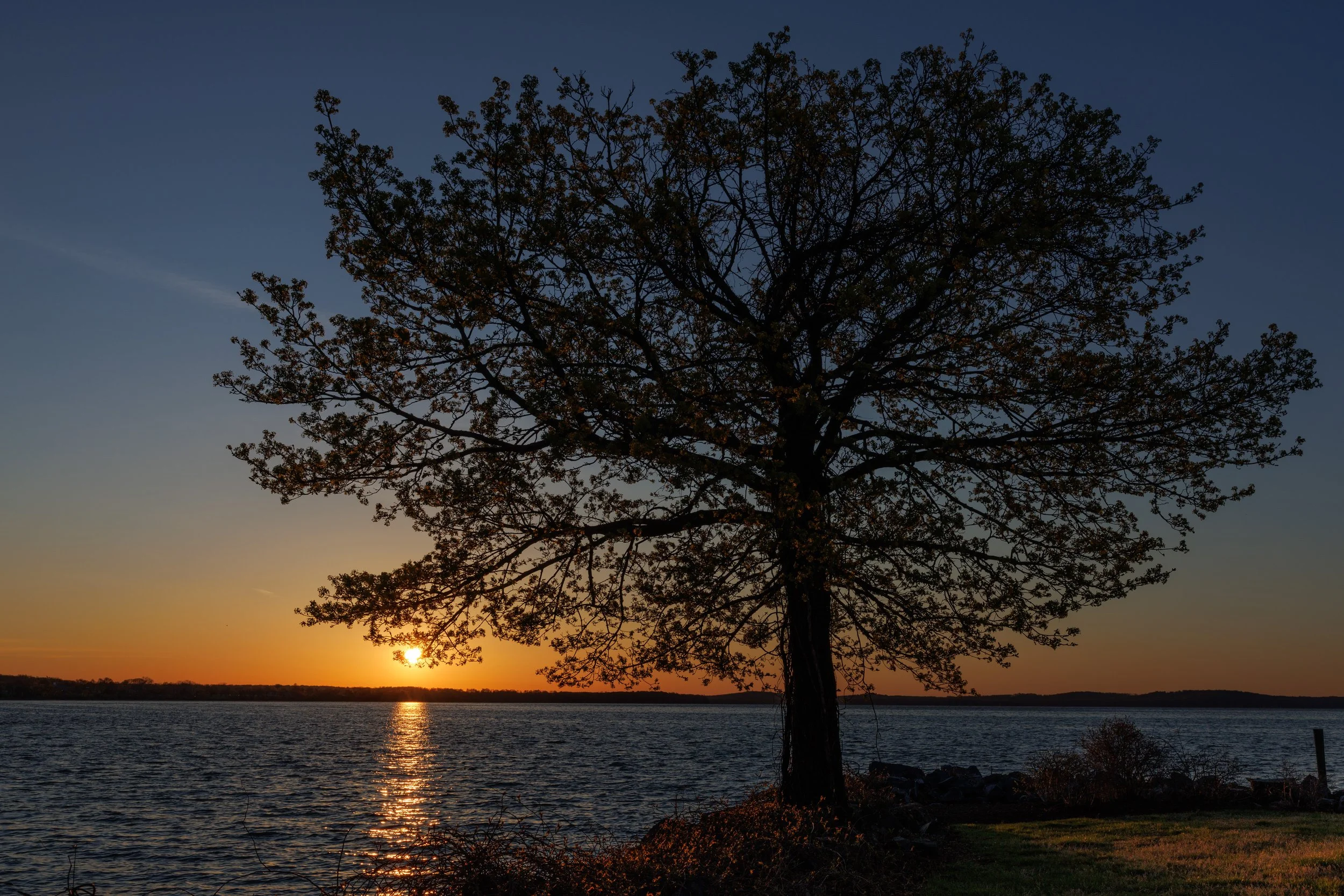 Havre De Grace-CA1_0068.jpg