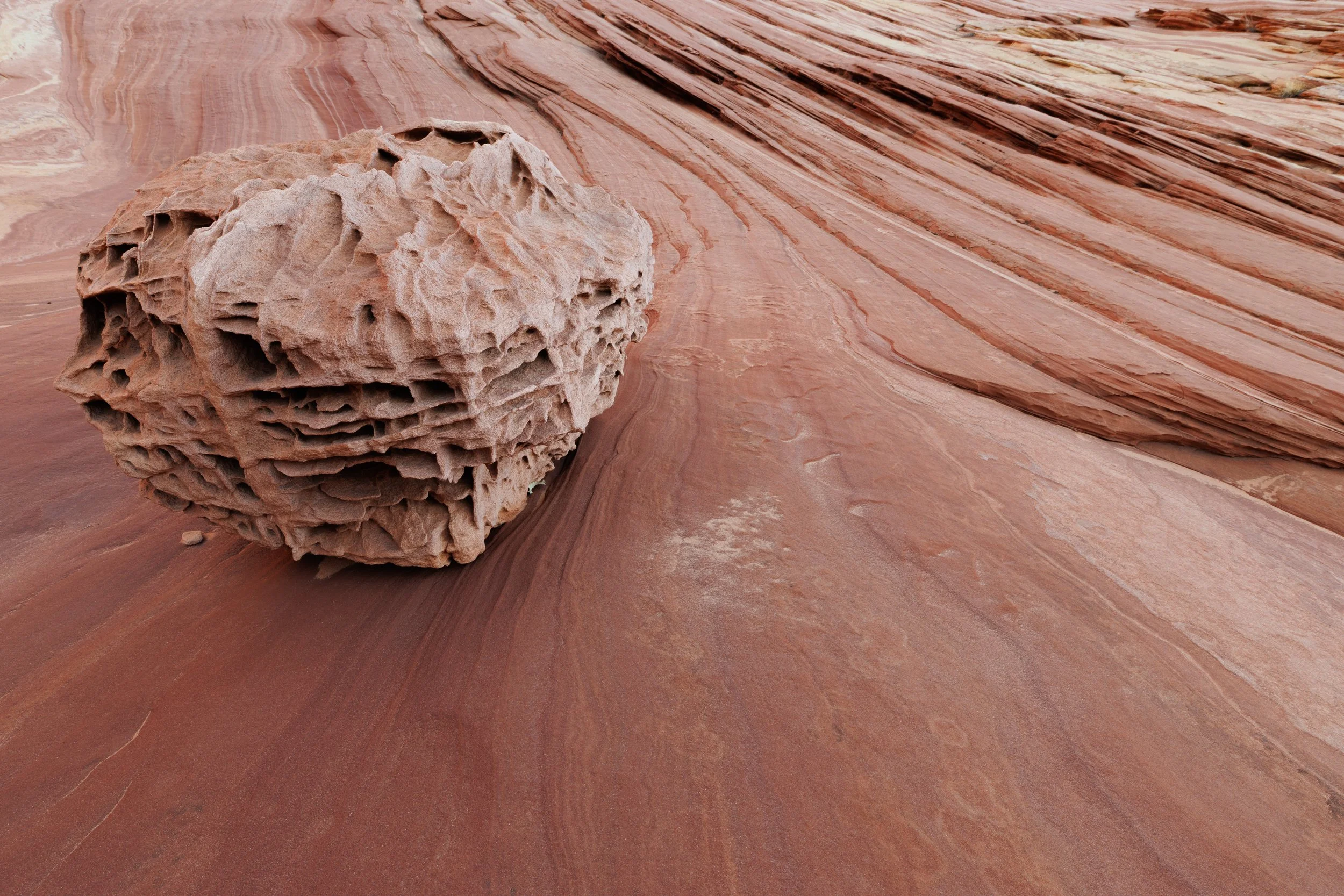 The Wave and Grand Canyon-CA1_0089.jpg