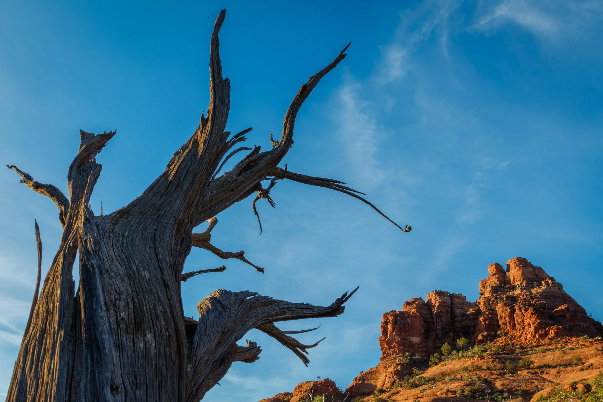 The Wave and Grand Canyon-CA1_0410-Edit.jpg