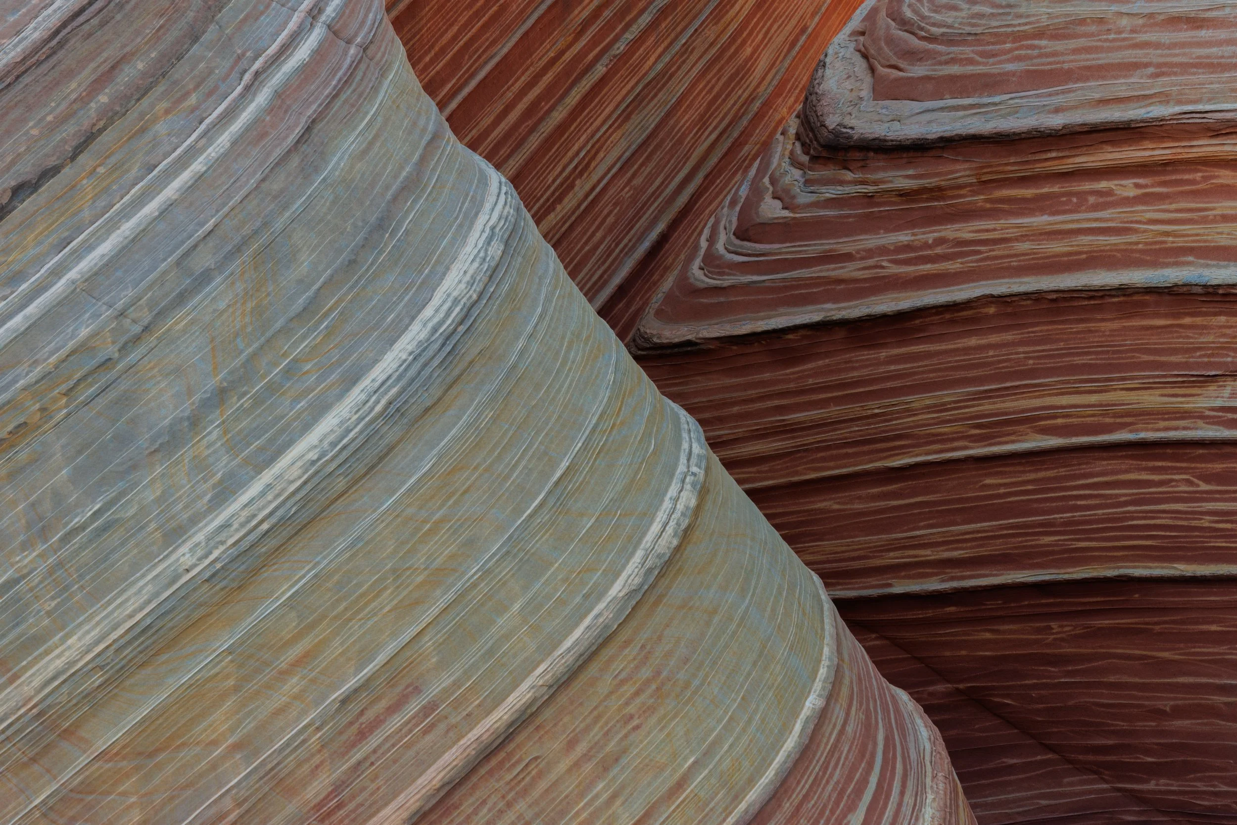 The Wave and Grand Canyon-CA2_0019.jpg