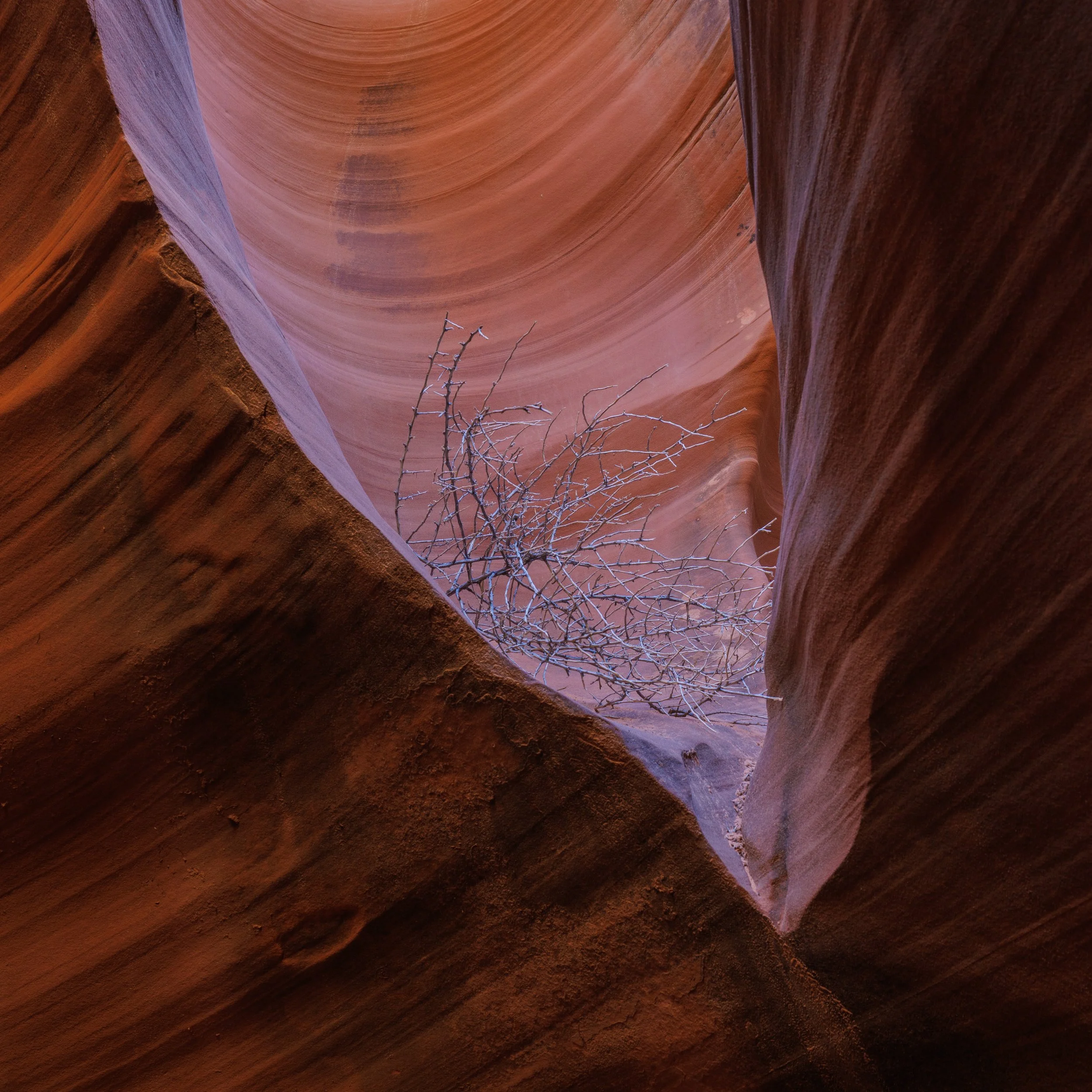 The Wave and Grand Canyon-CA1_0007.jpg