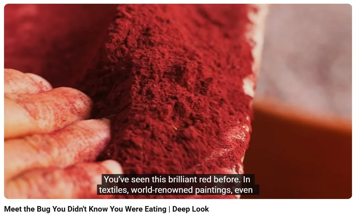 Close-up of a person's fingers holding a piece of red fabric or textile.