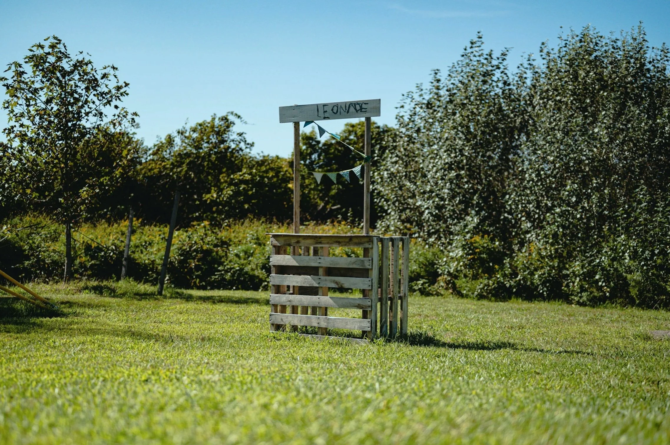 Empty wooden sandbox with a wood sign and bunting in a grassy outdoor area with trees and blue sky.