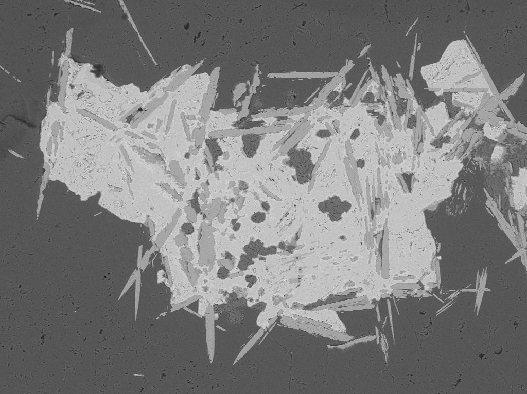 Scanning Electron Microscope  Backscattered image of Cu,Fe,S,Si minerals