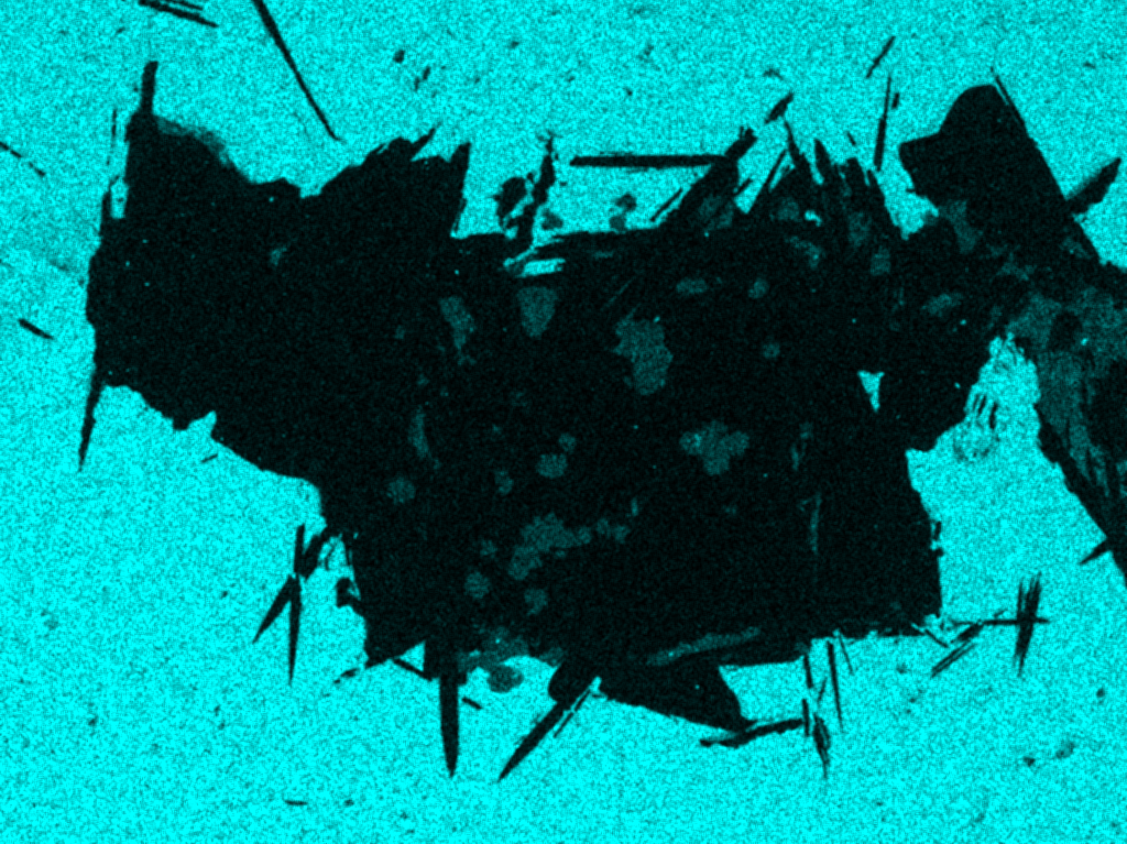 Scanning Electron Microscope EDS Si distribution