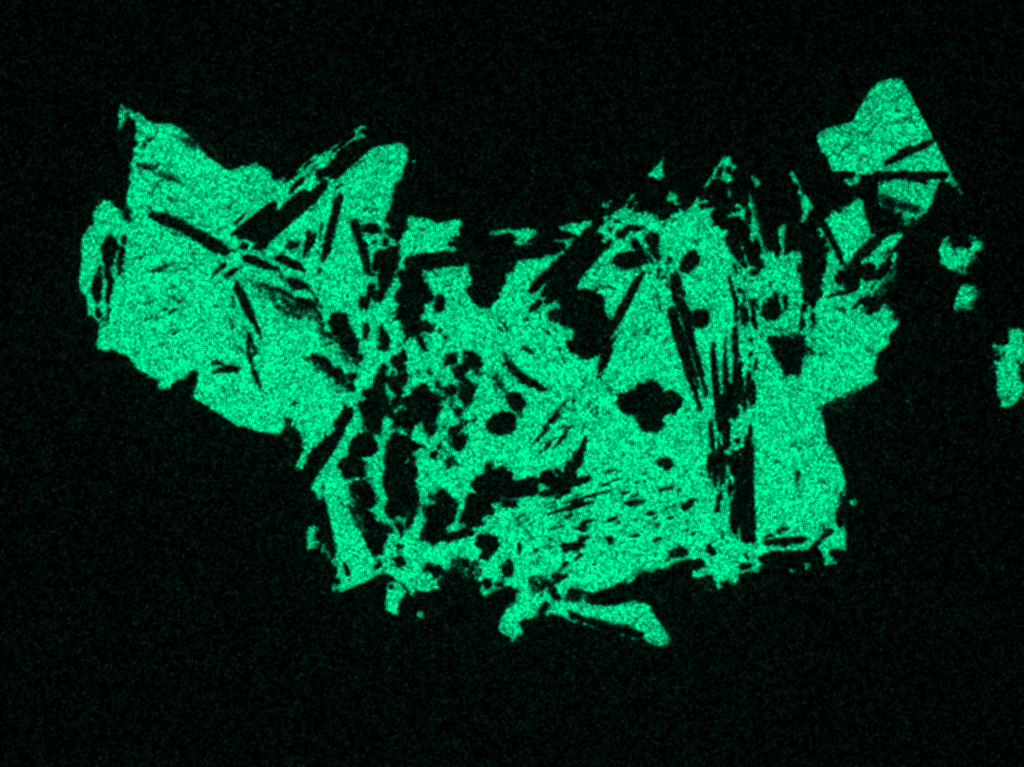 Scanning Electron Microscope EDS S distribution