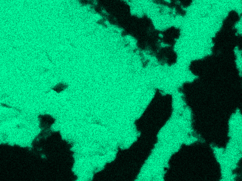 Close-up SEM EDS S distribution