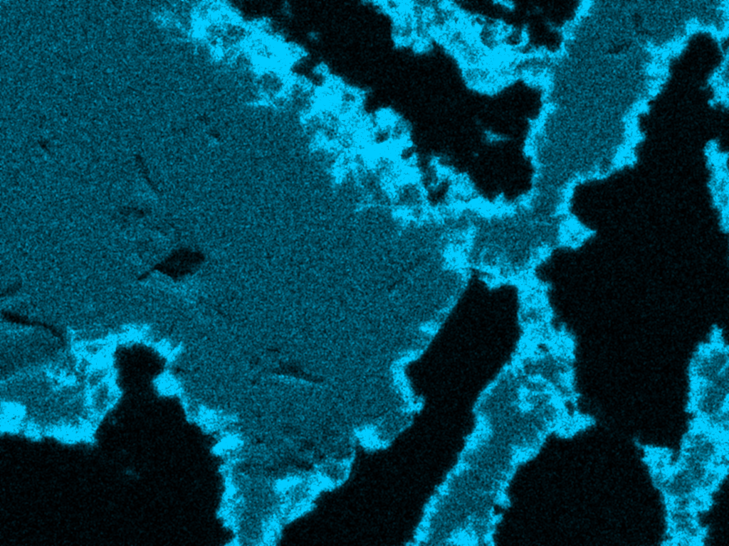 Close-up SEM EDS Cu distribution