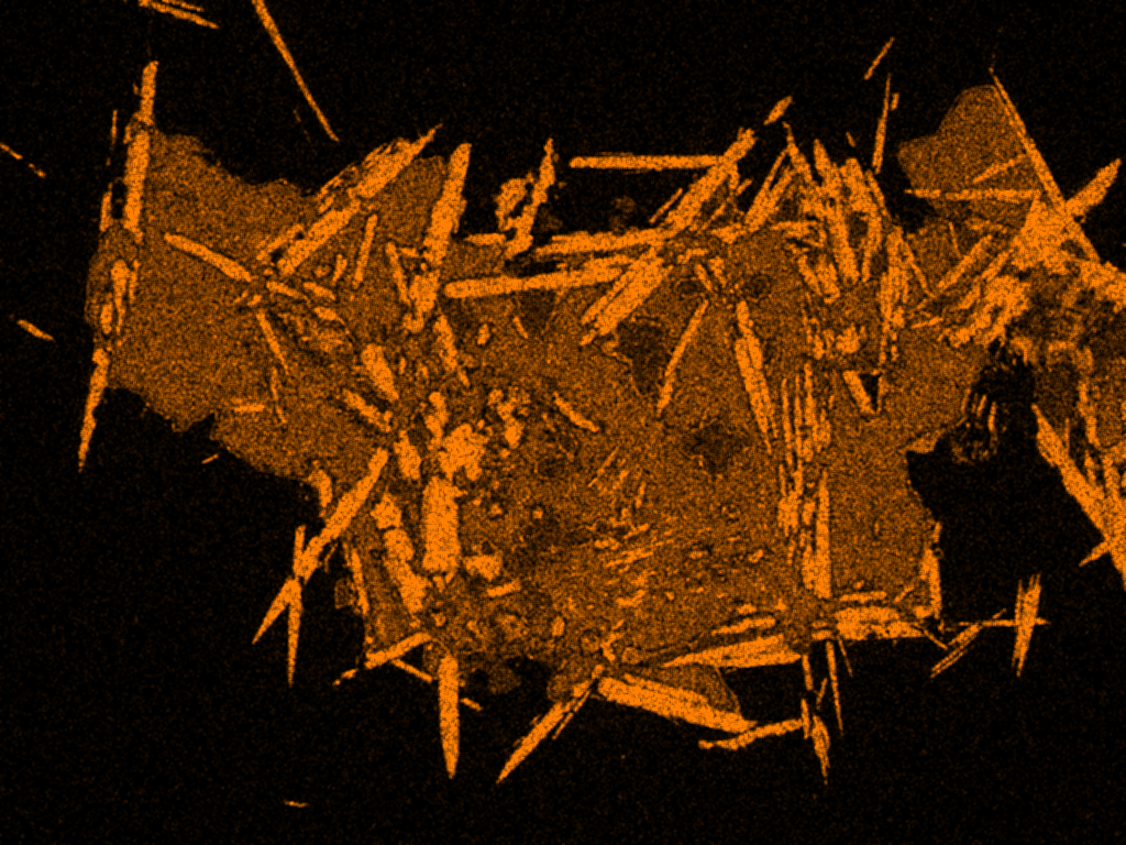 Scanning Electron Microscope  EDS Fe distribution