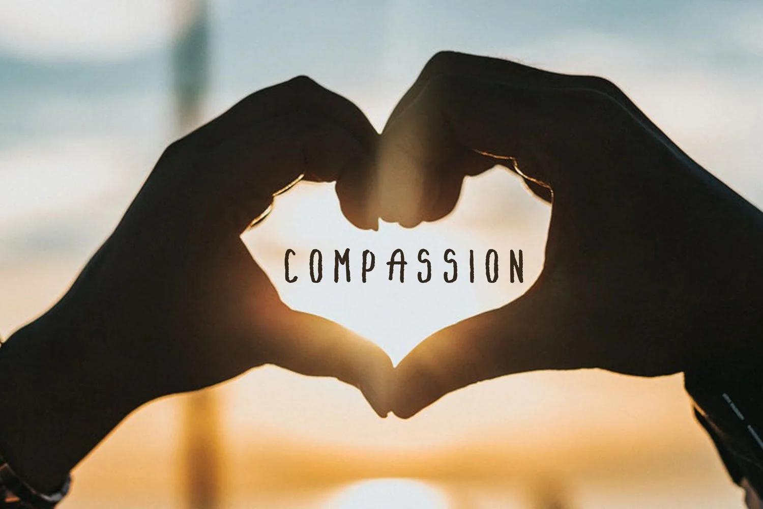Silhouette of two hands forming a heart shape with the word 'Compassion' inside, against a sunset background.
