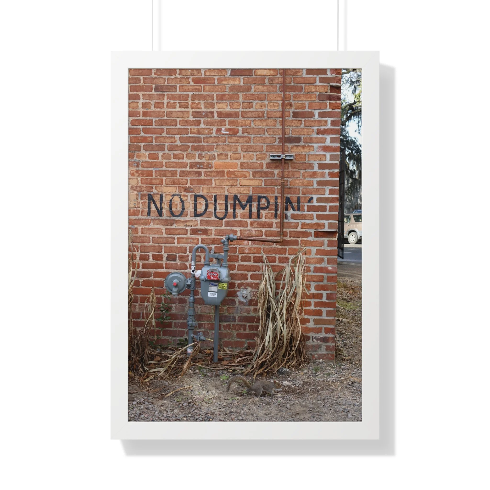 Framed Poster — 'NO DUMPIN' Urban Brick Wall Photo Print