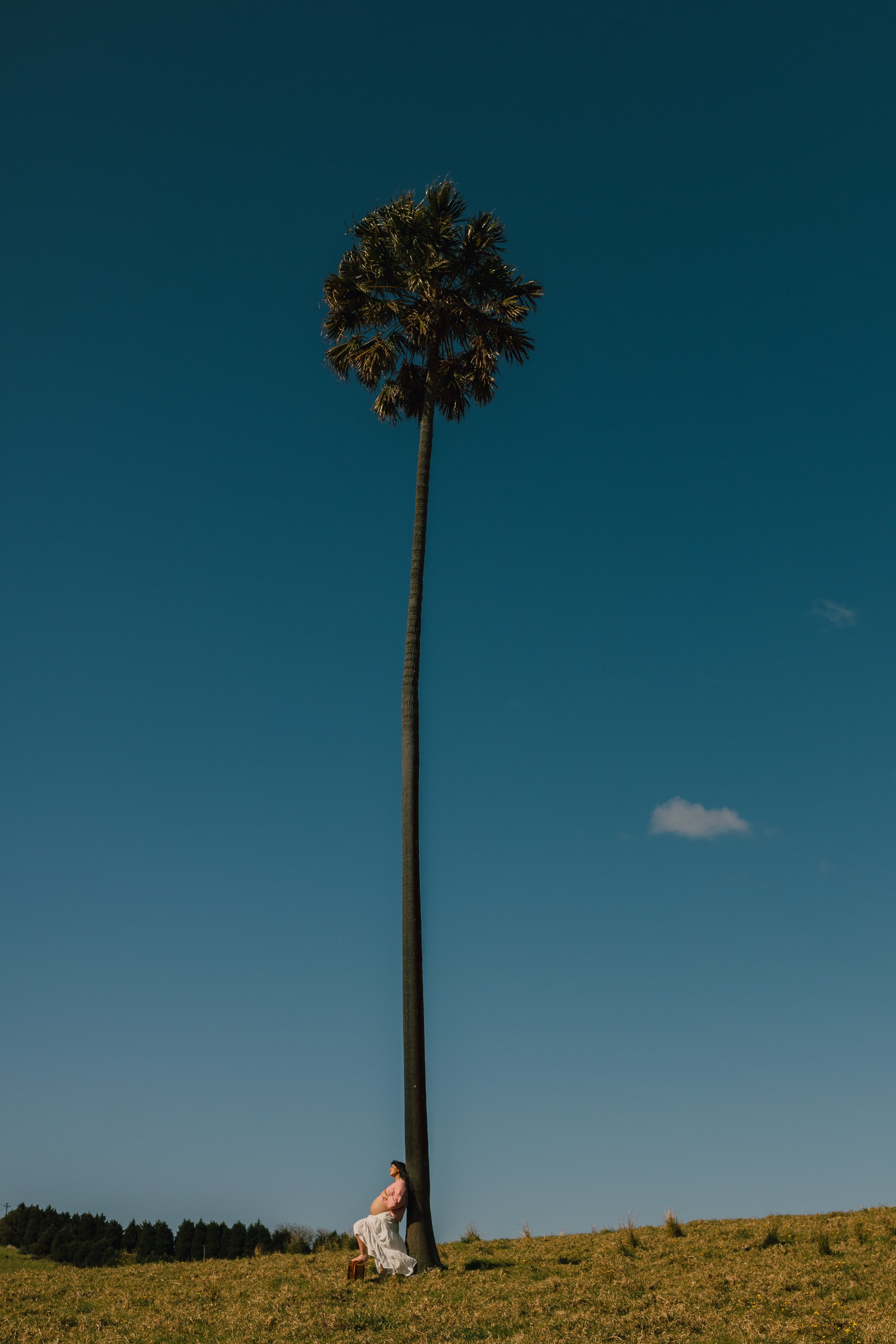 captured-by-rhe-bold-modern-cool-maternity-photographer-sydney-south-coast (1).jpg