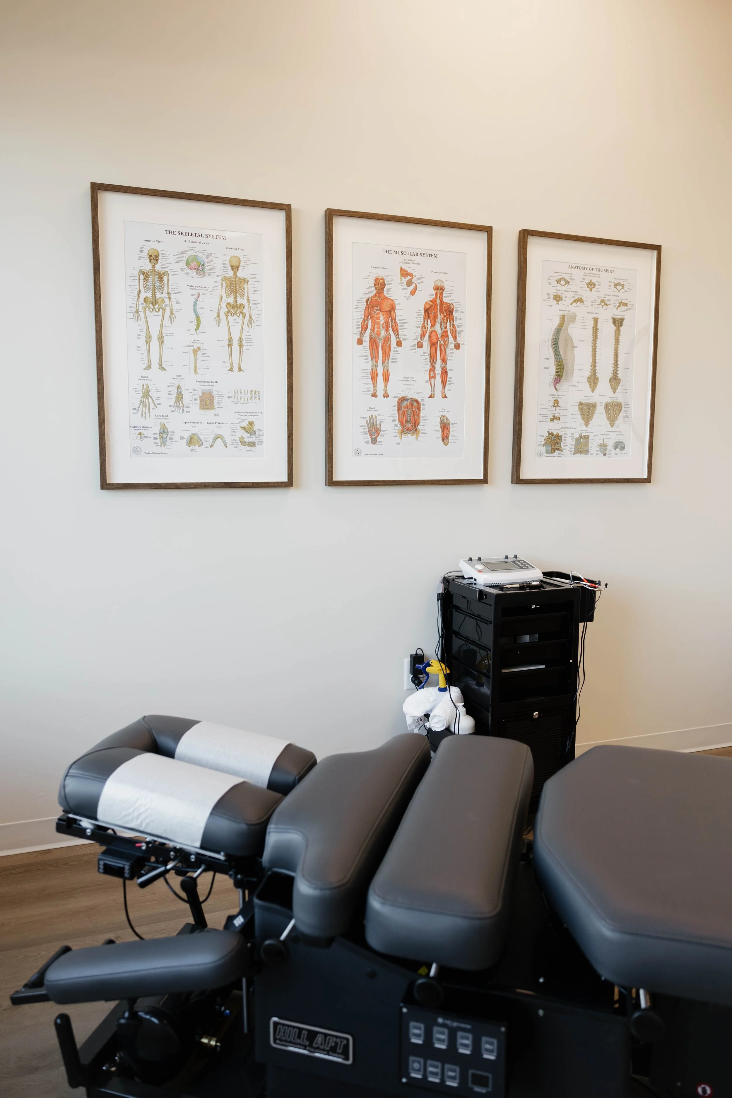 Chiropractic treatment room at Rebound Chiropractic in Lehi Utah