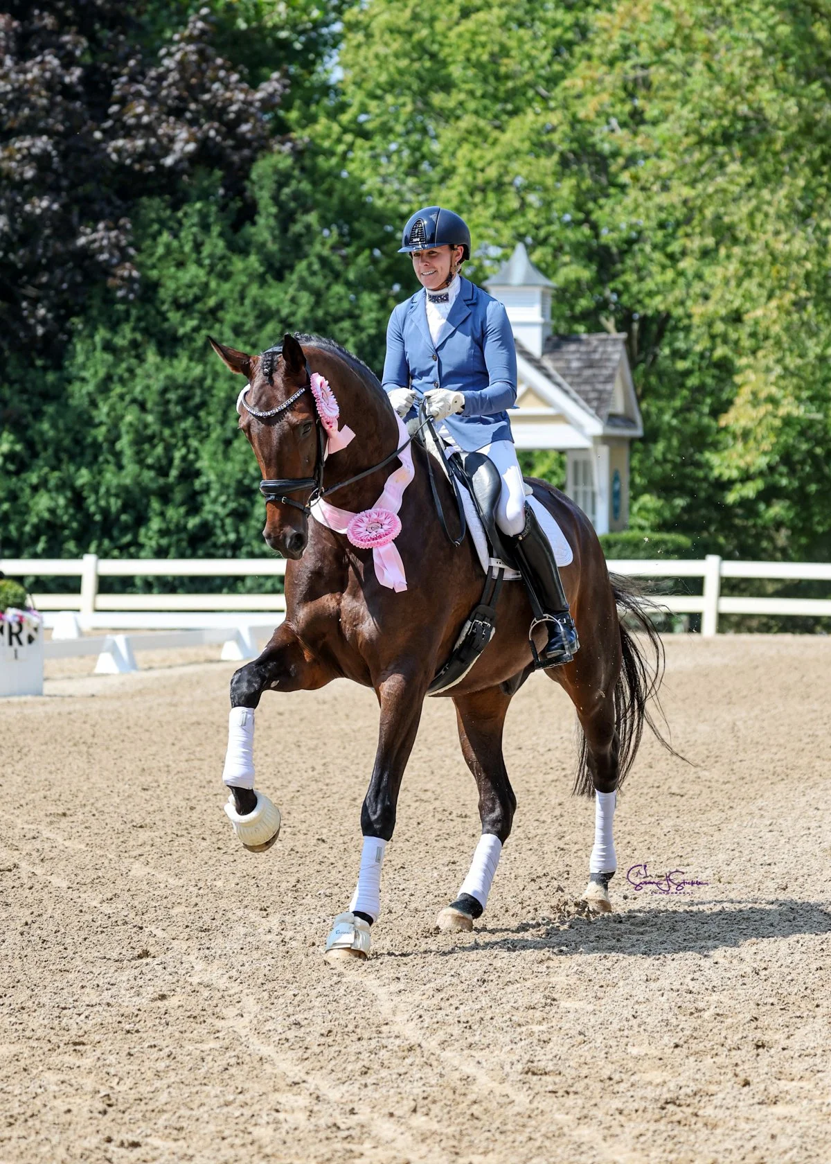 A woman in a blue riding jacket and white riding pants riding a brown horse decorated with pink ribbons and rosettes on a sandy arena surrounded by a white fence, with green trees and a small building in the background.