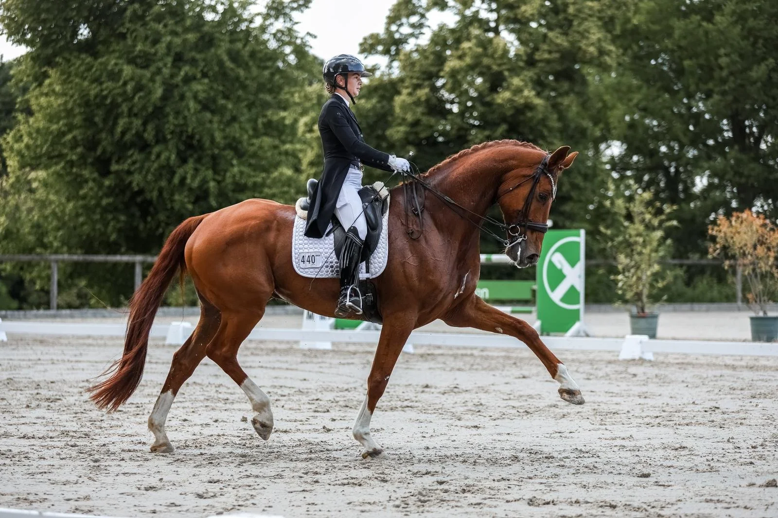 A female equestrian dressed in traditional riding attire, including a black jacket, white breeches, and a helmet, rides a chestnut horse with white markings on its legs and face in a dressage arena, surrounded by green trees.