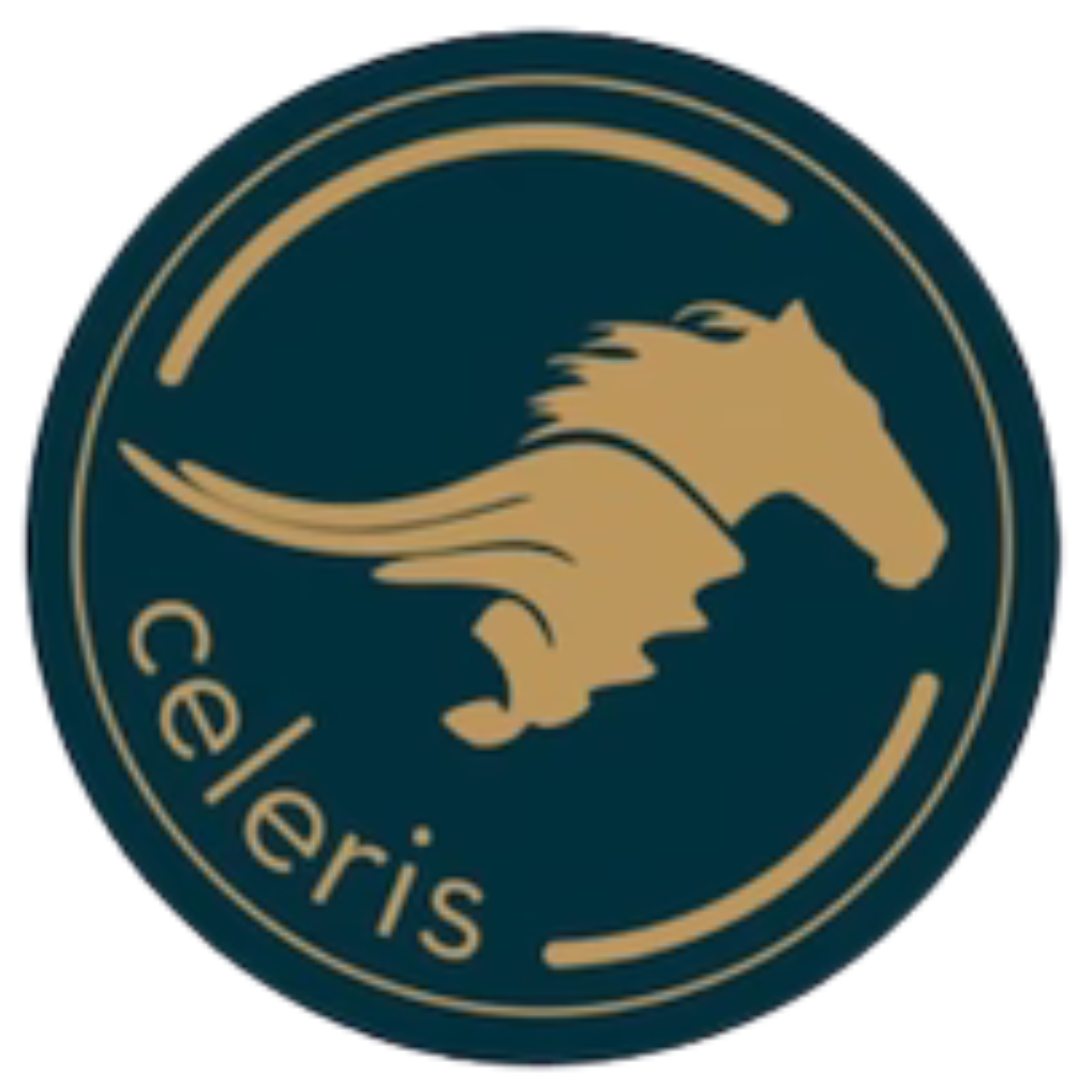 Black circular logo with a gold horse head and the word 'celeri's' written in lowercase.