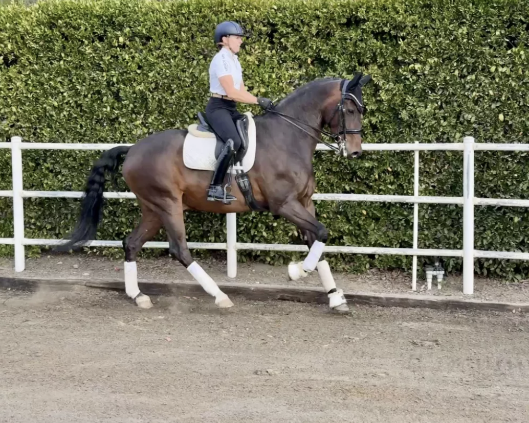 BJN Magic Mike ($50K - $75K)