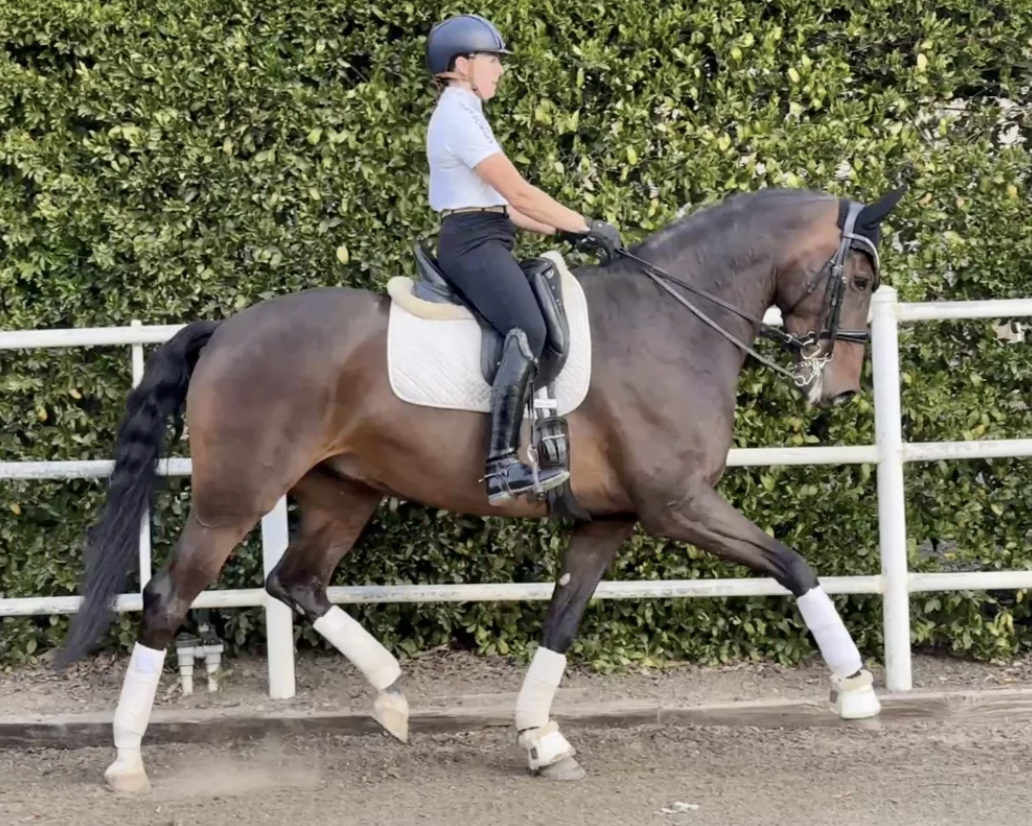 Screenshot 2026-02-17 at 9.01.17 AM.png