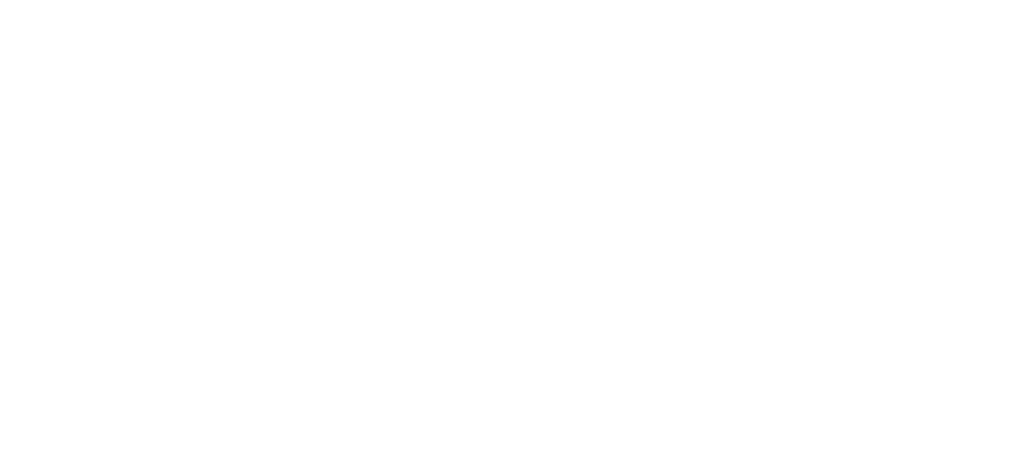 Everywhen | Join the Forest Festival Today