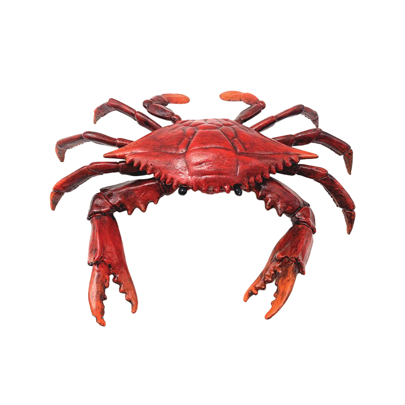 Sea- Crab