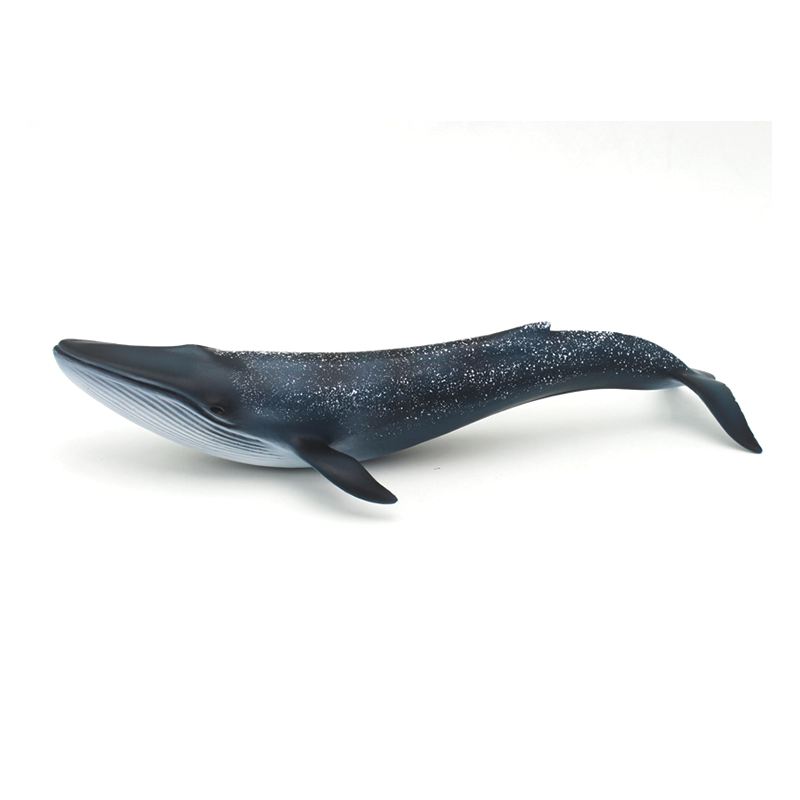 Sea - Blue Whale