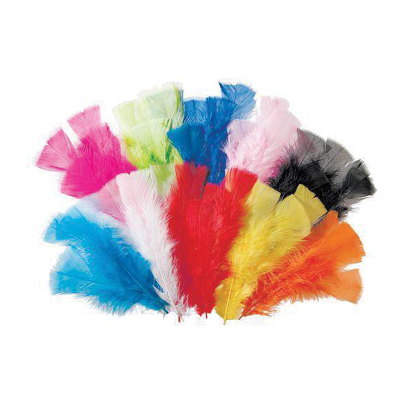 Feathers 60g Pack of 240