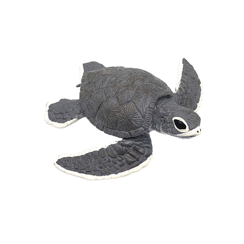 Sea - Sea Turtle