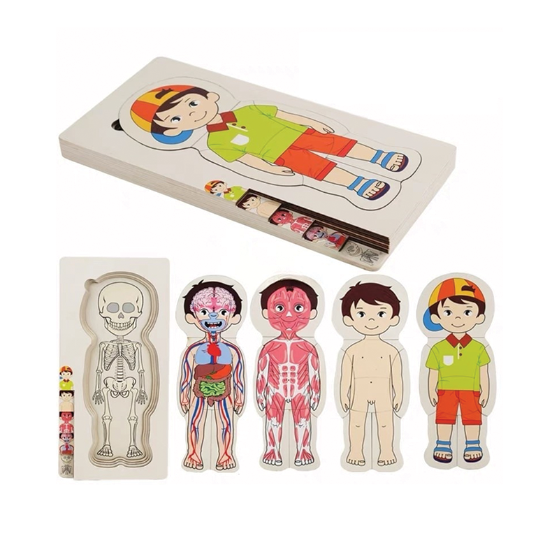 Layered Body Puzzle - Boy