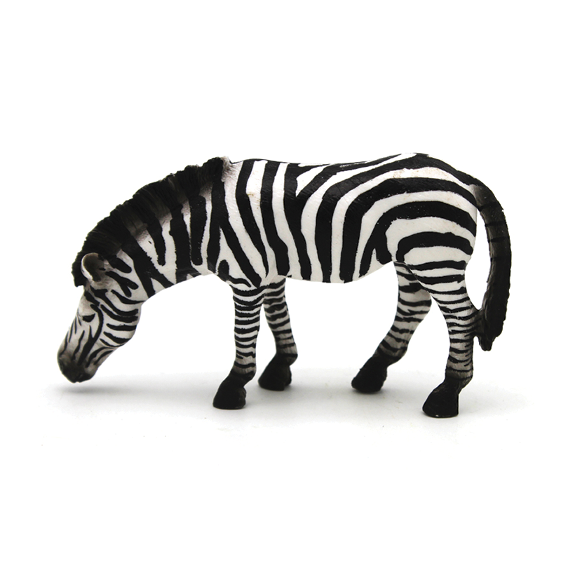 Zebra -Wild Animals