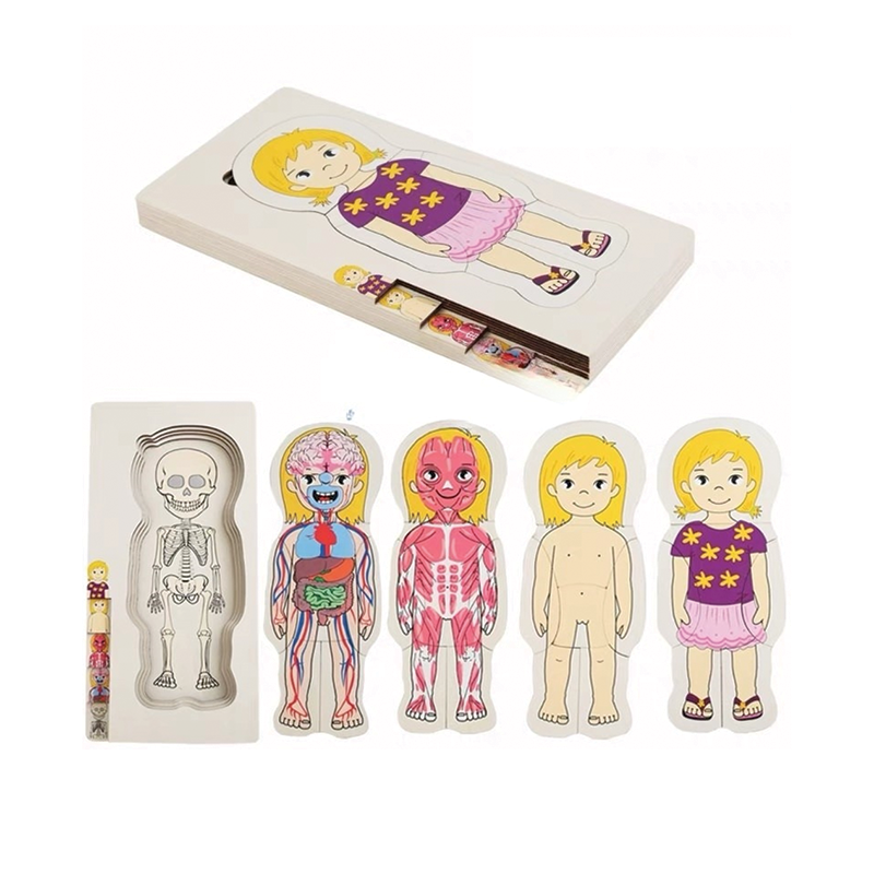 Layered Body Puzzle - Girl