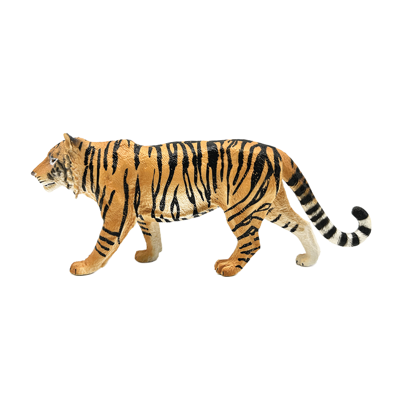 Tiger - Wild Animals